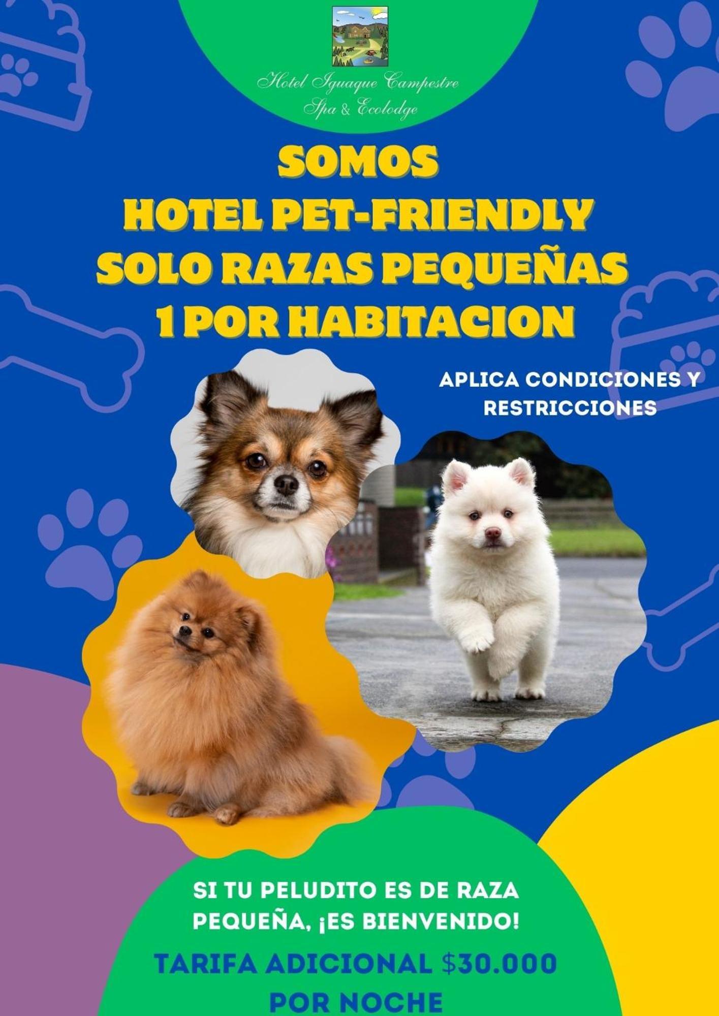 Hotel Boutique Iguaque Campestre Spa & Ecolodge 비야 데 레이바 외부 사진